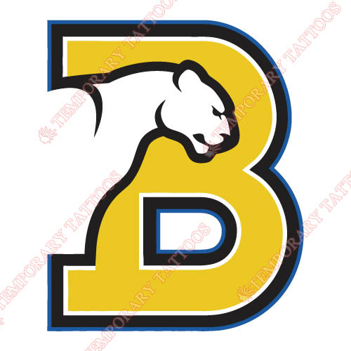 Birmingham Southern Panthers Customize Temporary Tattoos Stickers N4008